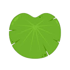 Water lily pad